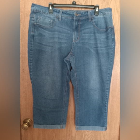 Plus Size Shorts - Picture 1 of 3